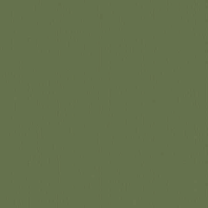 Hidden Stripes 580006