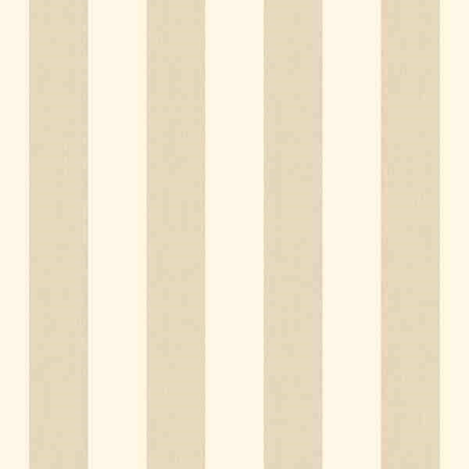 Architect Stripes #3 580329