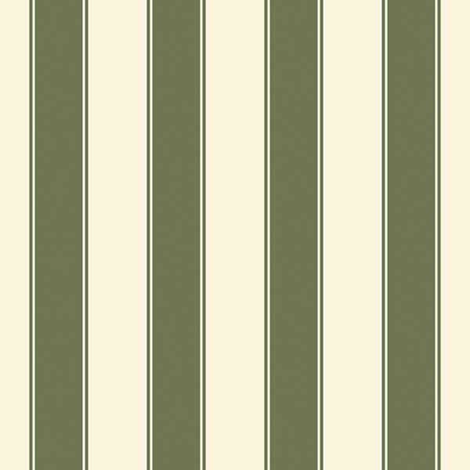 Stripes of Legacy 580542