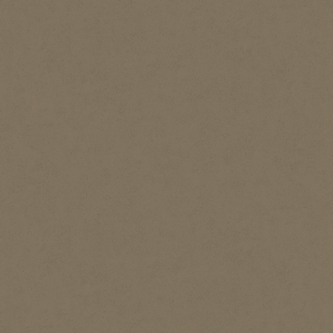 Fiona Concrete Experience 630423