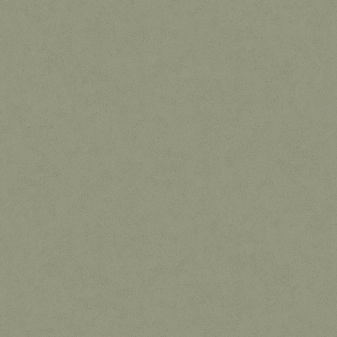 Fiona Concrete Experience 630426