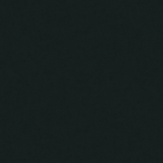 Fiona Concrete Experience 630427